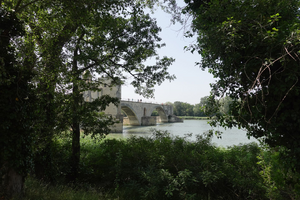 Toiletteur Avignon